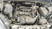 Fiat Doblo 1.6 JTDM SX Maxi Furgone 2020m. Dyzelinas Mechaninė