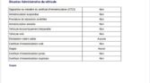 Mercedes-Benz E-Klasse E 250 CDI BlueEfficiency Standard 2014m. Dyzelinas Automatinė