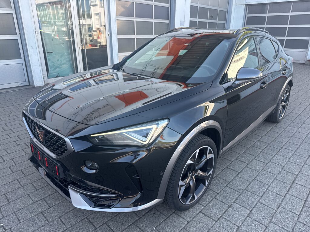 Cupra Formentor 2.0 TSI VZ 4Drive 2024m. Benzinas Automatinė