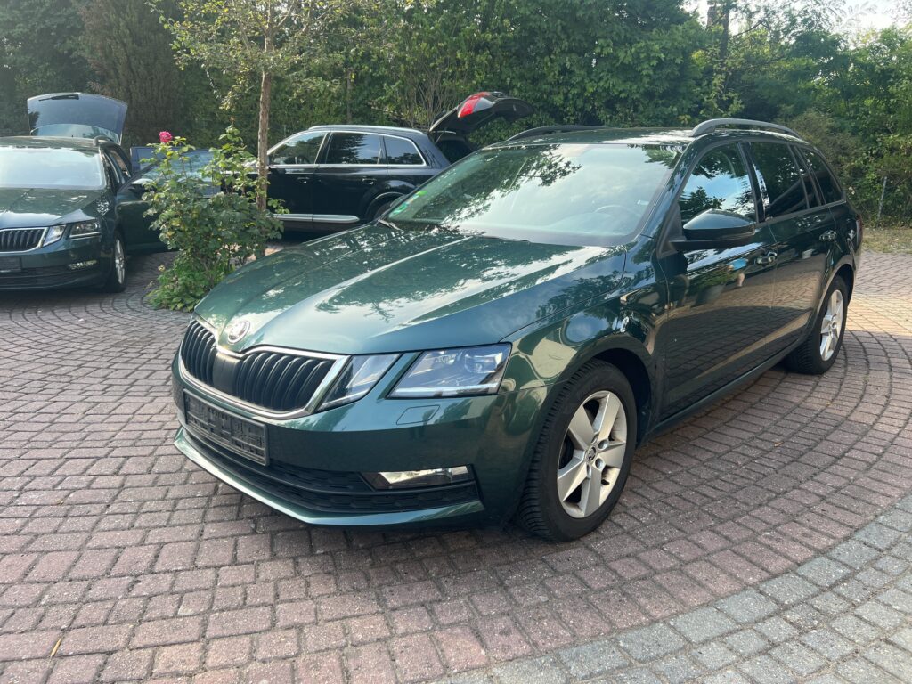 Skoda Octavia 2.0 TDI Ambition 2018m. Dyzelinas Automatinė