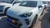 Cupra Terramar 1.5 eTSI 2024m. Benzinas Automatinė