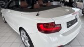 BMW 2er 228i M Sport 2015m. Benzinas Automatinė