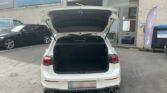 Volkswagen Golf VIII 2.0 TSI GTI 2022m. Benzinas Automatinė