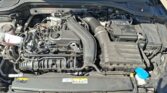 Volkswagen Golf VIII 1.5 eTSI Goal 2024m. Benzinas Automatinė