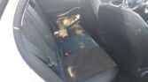 Opel Grandland X 1.5 CDTI GS Line 2023m. Dyzelinas Automatinė