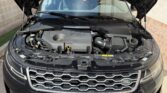 Land Rover Evoque D165 Mild-Hybrid 2021m. Dyzelinas Automatinė
