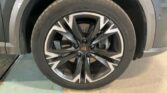 Cupra Formentor 2.0 TDI 4Drive 2021m. Dyzelinas Automatinė