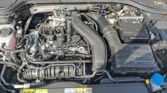 Volkswagen Golf VIII 1.5 eTSI Energy 2025m. Benzinas Automatinė
