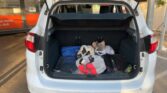 Ford C-Max 2.0 TDCi Titanium 2011m. Dyzelinas Pusiau-automatinė