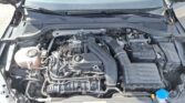 Volkswagen Golf VIII 1.5 eTSI Goal 2024m. Benzinas Automatinė