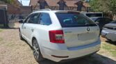 Skoda Octavia 2.0 TDI Business 2020m. Dyzelinas Automatinė