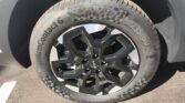 Kia Sorento 2.2 CRDi Business 2WD 2025m. Dyzelinas Automatinė