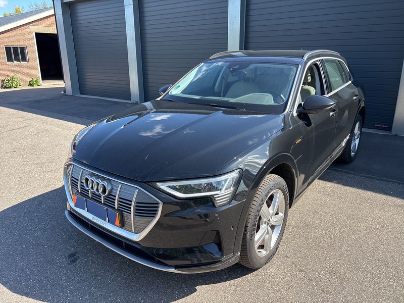 Audi e-tron 55 quattro Advanced 2022m. Elektra Automatinė