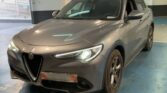 Alfa Romeo Stelvio 2.2 JTDM Basis 2WD 2017m. Dyzelinas Automatinė