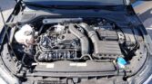 Volkswagen Golf VIII 1.5 eTSI Goal 2025m. Benzinas Automatinė