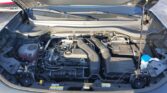 Volkswagen T-Roc 1.5 eTSI Life 2026m. Benzinas Automatinė