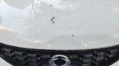 Ssangyong Korando 2.0 TD Premium Plus 4x2 2014m. Dyzelinas Automatinė