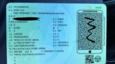 Volkswagen Bora 1.9 TDI Highline 2001m. Dyzelinas Mechaninė