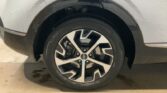 Kia Sportage 1.6 TGDI Mild-Hybrid Spirit 2024m. Benzinas Automatinė