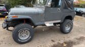 Jeep Wrangler 4.0 Hard Top 1991m. Benzinas Mechaninė
