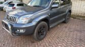 Toyota Land Cruiser 4.0 V6 Executive 2003m. Benzinas Automatinė