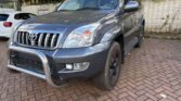 Toyota Land Cruiser 4.0 V6 Executive 2003m. Benzinas Automatinė
