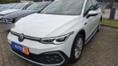 Volkswagen Golf VIII 2.0 TDI Alltrack 4Motion 2023m. Dyzelinas Automatinė