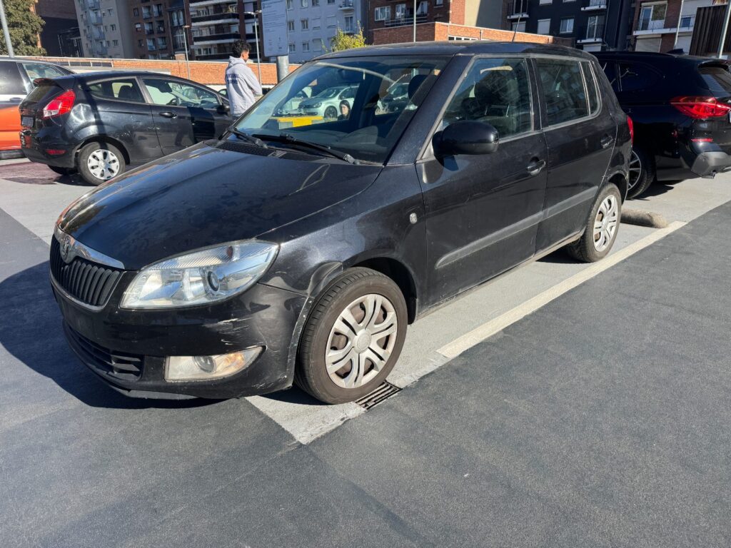 Skoda Fabia 1.2 TDI Greenline 2012m. Dyzelinas Mechaninė